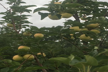 首页-BB贝博艾弗森公司官网