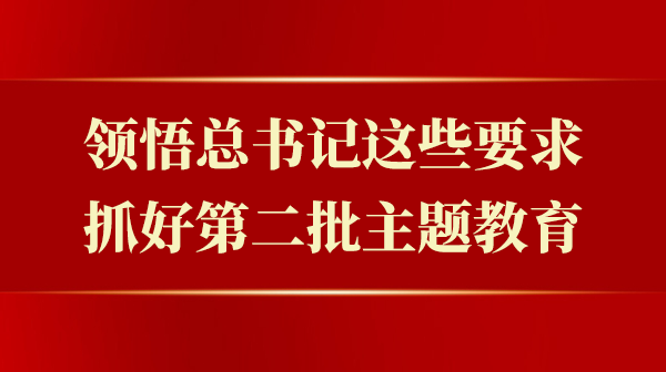 领悟总书记这些要求，抓好第二批主题教育